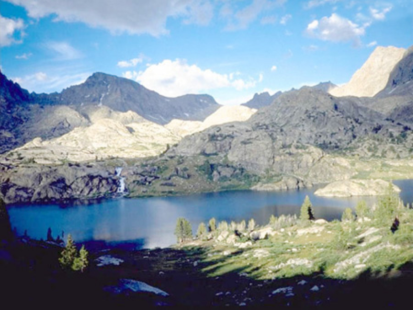 每日經歷神：死亡的毒鉤在哪裏？