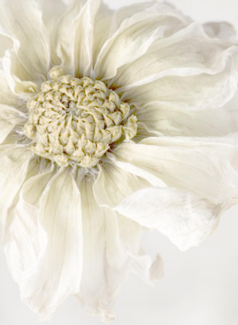 每日經歷神：太遲啦！