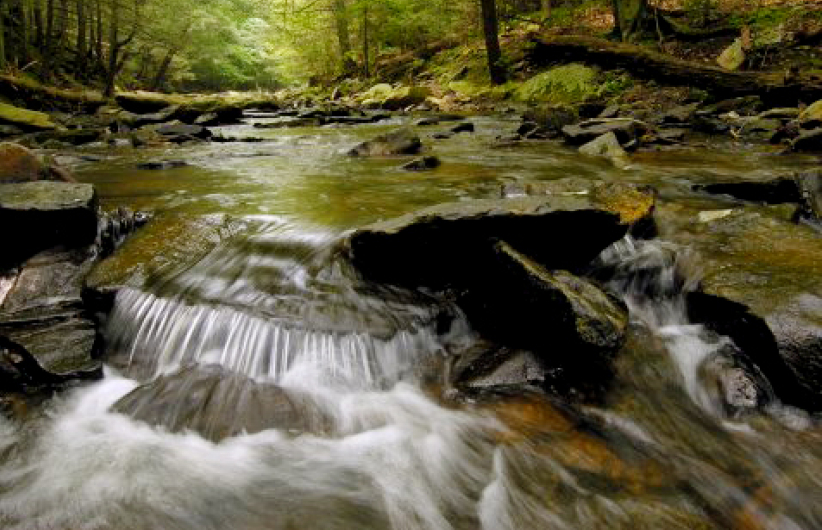 每日经历神：当基督下达命令时