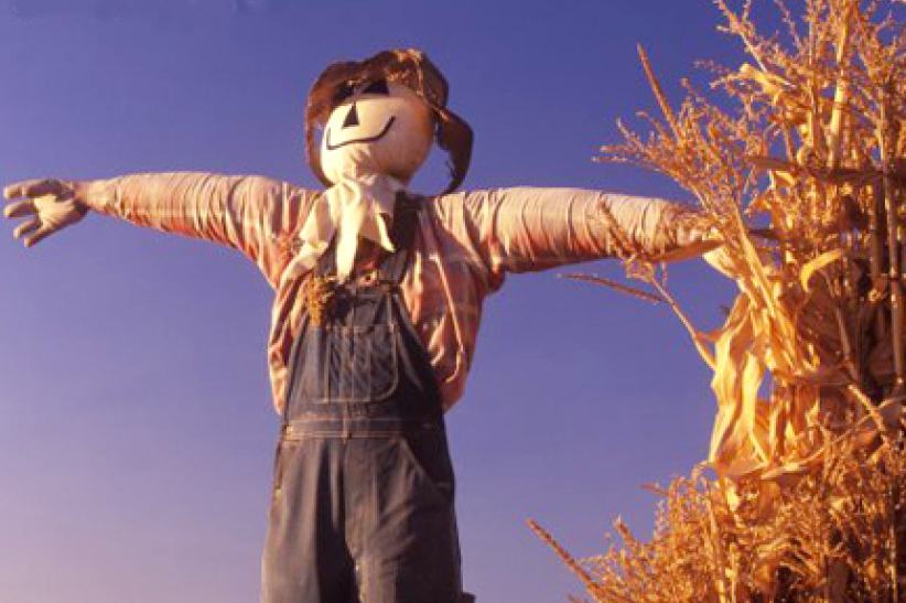 每日經歷神：站在你的守望所！