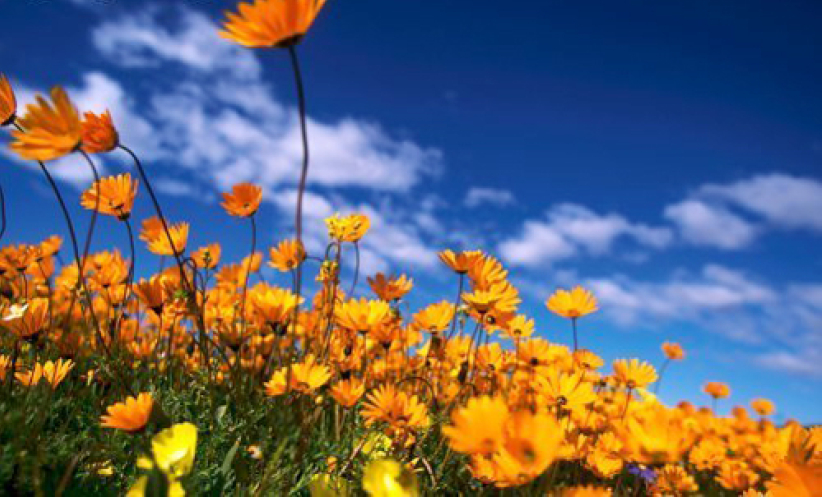 每日經歷神：認識神