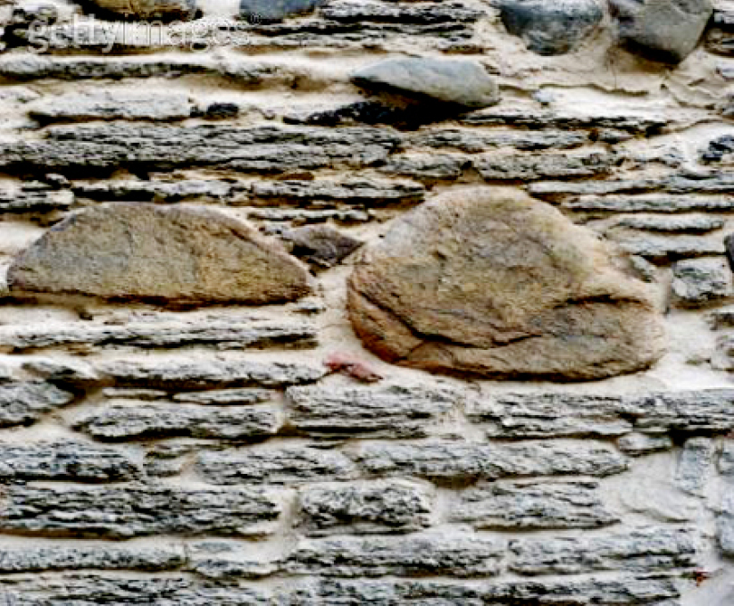 每日經歷神：冷酷的愛