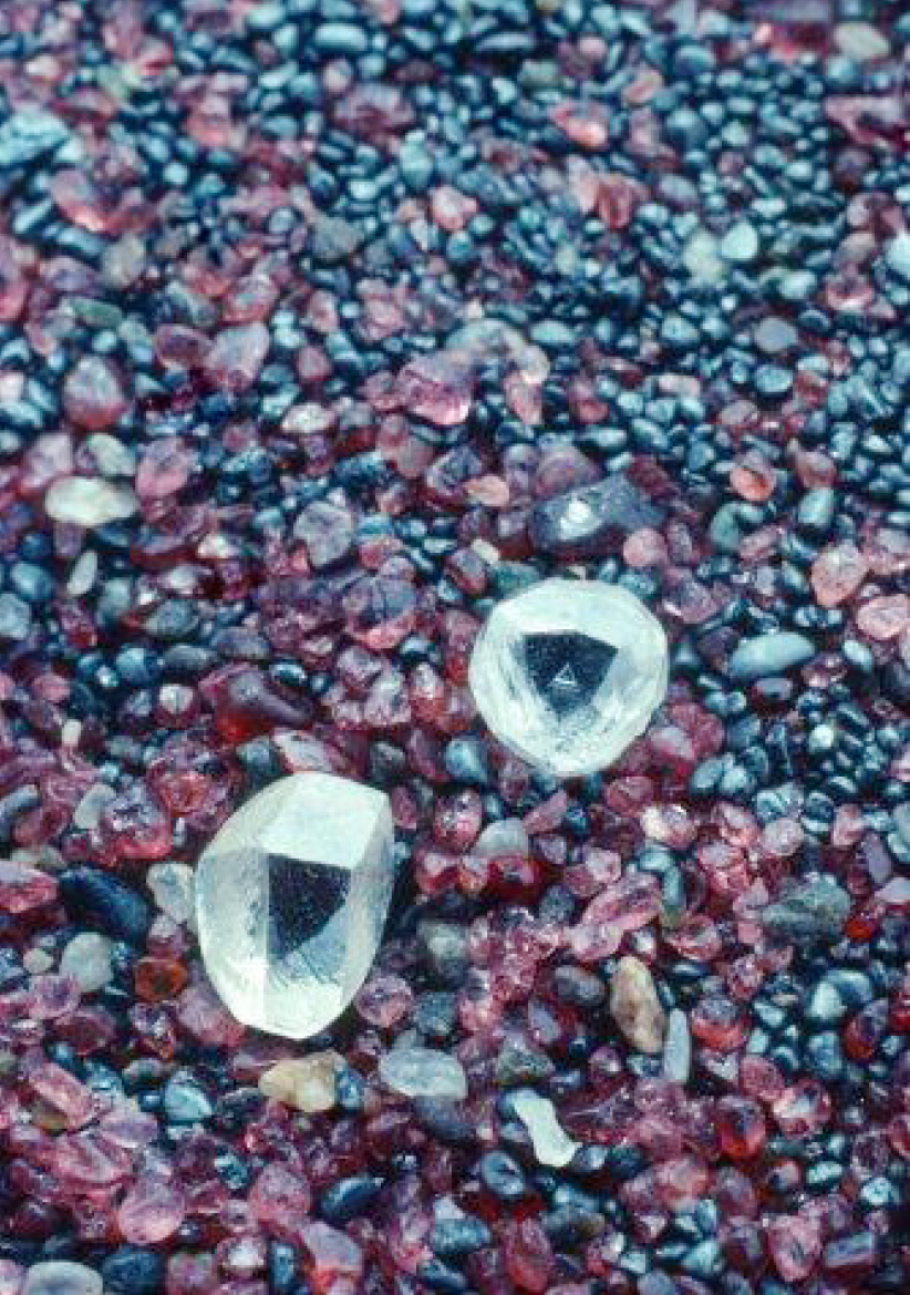 每日經歷神：愛產生順服