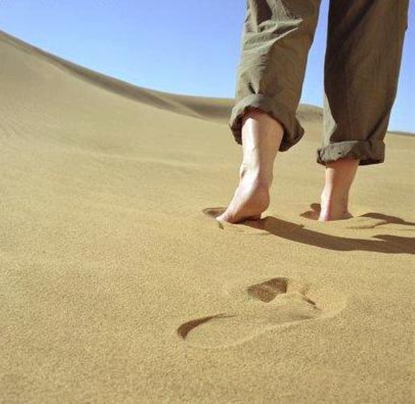 每日經歷神：君尊的祭司