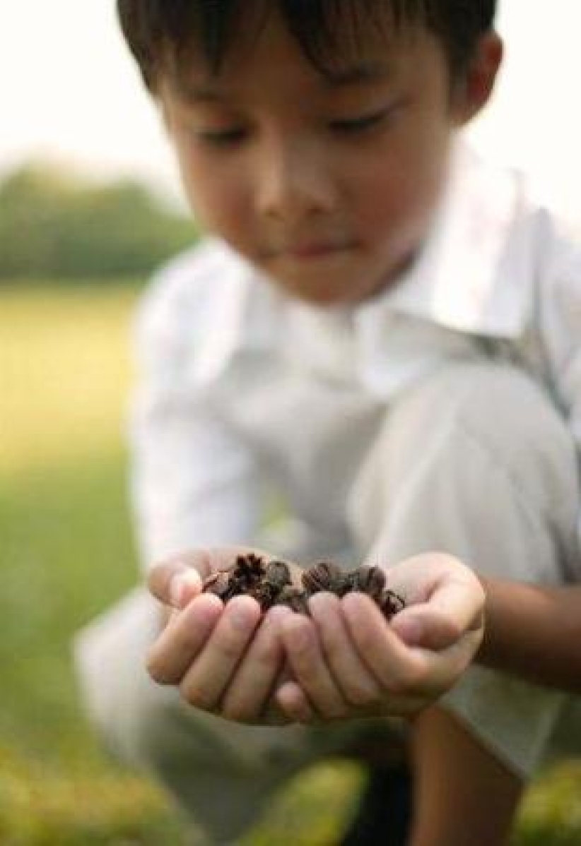 每日經歷神：撒下公義的種子