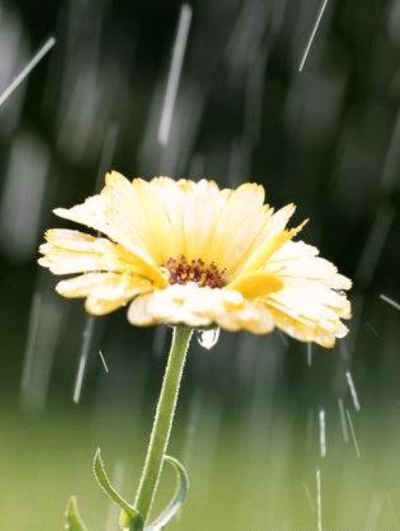 每日經歷神：儀式或關係？