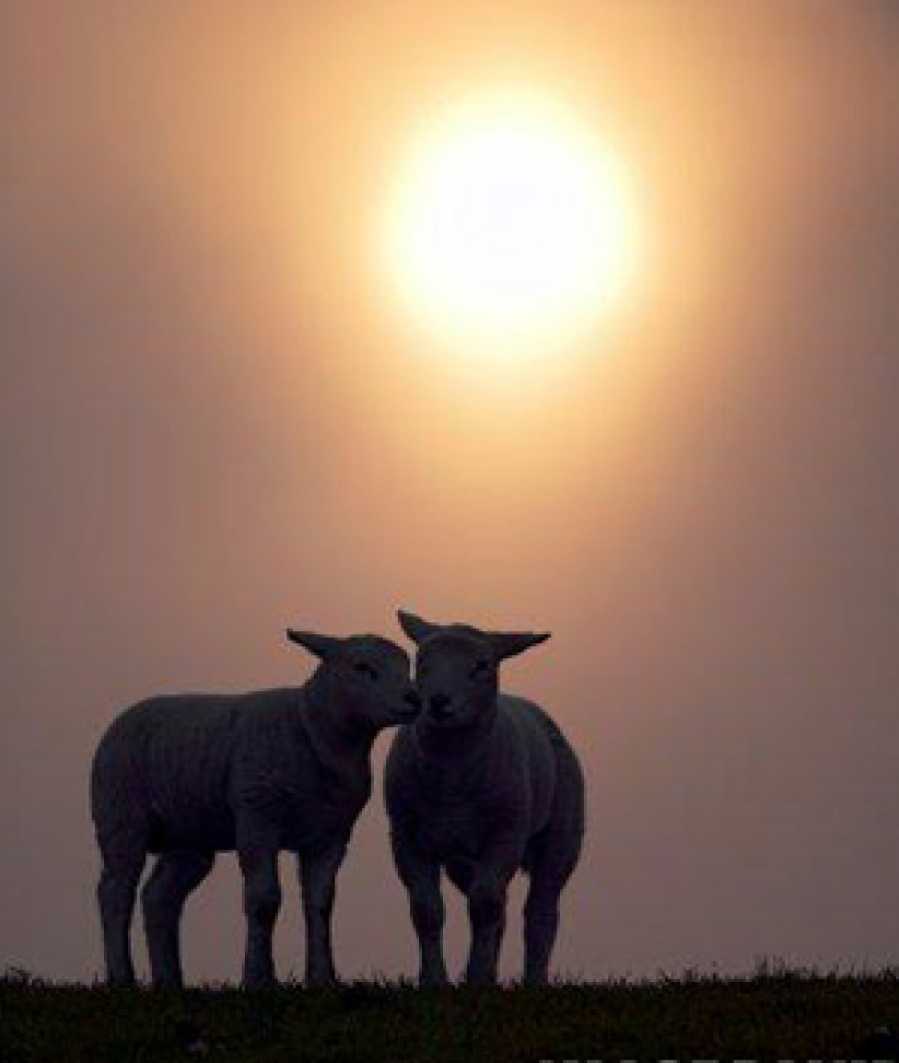 每日經歷神：決心