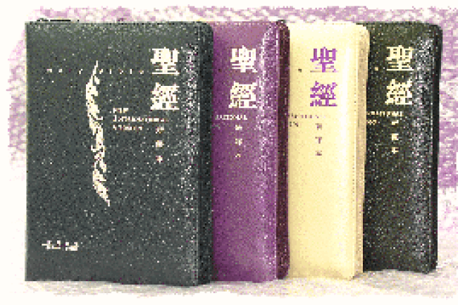《新譯本‧NIV》中英對照聖經聖誕推出 望受造信徒