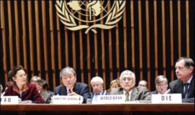 日內瓦召開全球會議 商討如何應對禽流感和人類大流行性流感