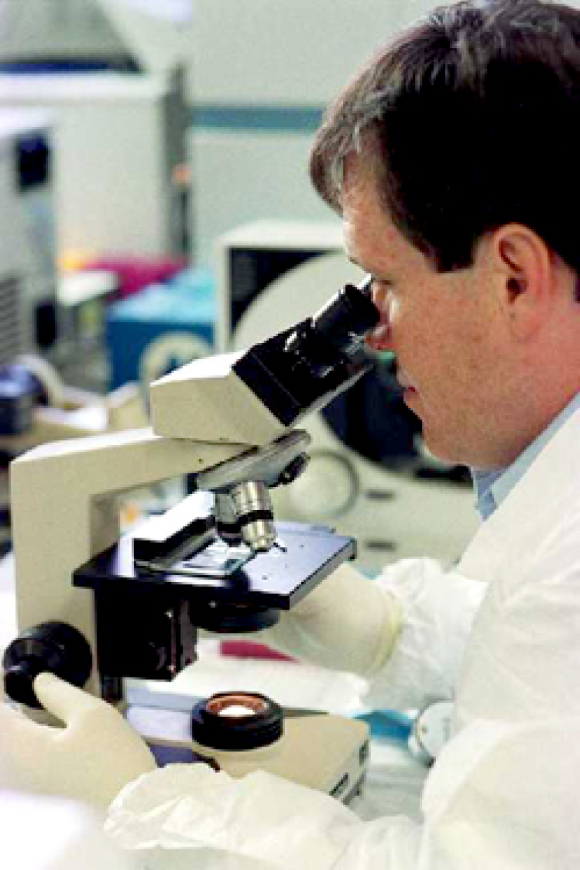 同性戀成為德國愛滋病病毒感染者增多主因