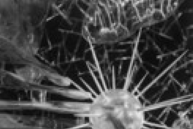 生物學家馮秉誠牧師分享科學vs信仰問題