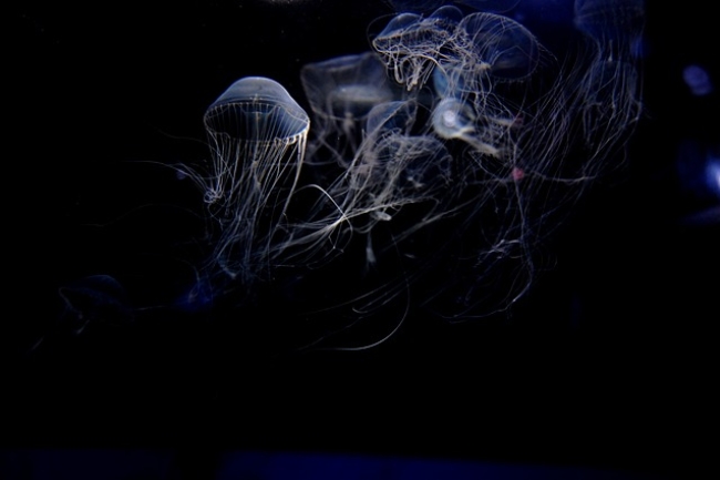 溫偉耀博士的信仰思考（中）為何說大自然的創造者就是《聖經》中的上帝？