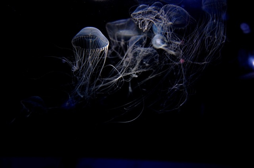 溫偉耀博士的信仰思考（中）為何說大自然的創造者就是《聖經》中的上帝？