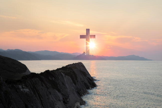 調查：7成機構財政收入持負面 8成不會暫停運作