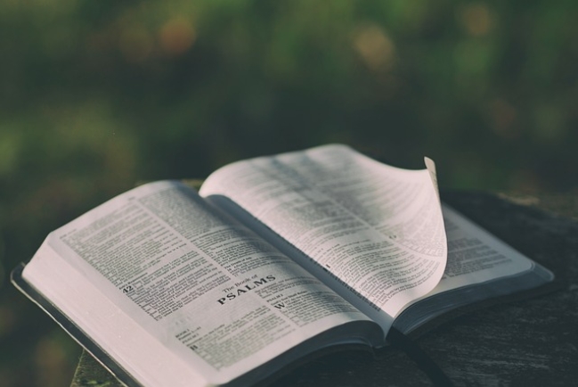 2024年《聖經》銷量激增  越多人轉向聖經尋求指引和穩定感