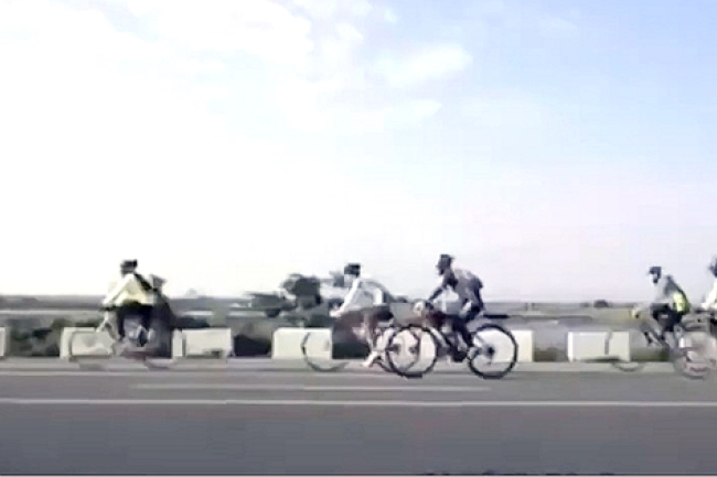 「1919要救要救」！團體發起台北騎單車救助急難家庭