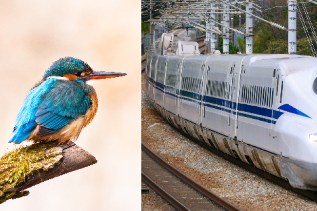 「仿生學」智慧設計抄襲上帝？