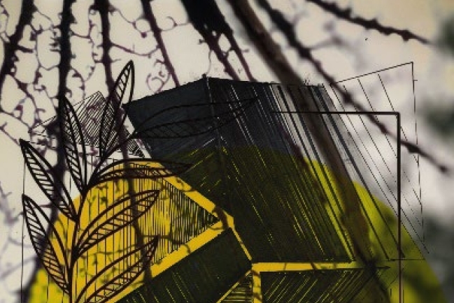 【當代藝粹】楊青：不可估量的光