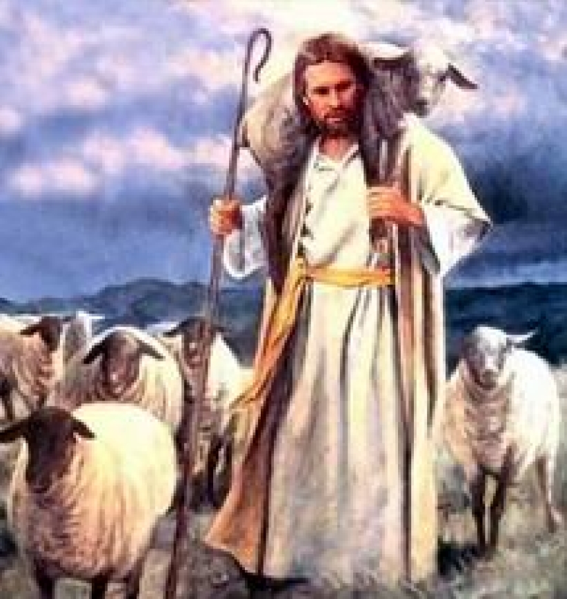 鄧瑞強博士：狼來了，怎麼辦？