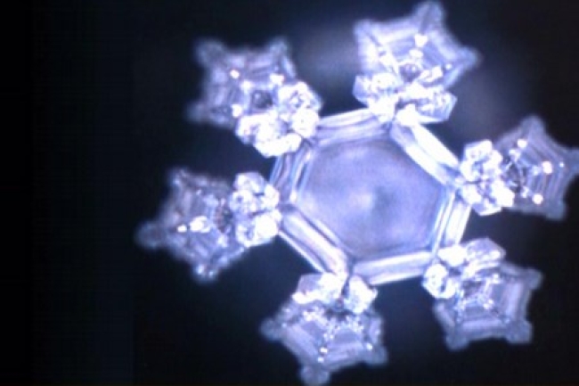 上帝創造有多偉大﹖攝影師親證大自然無比奇妙