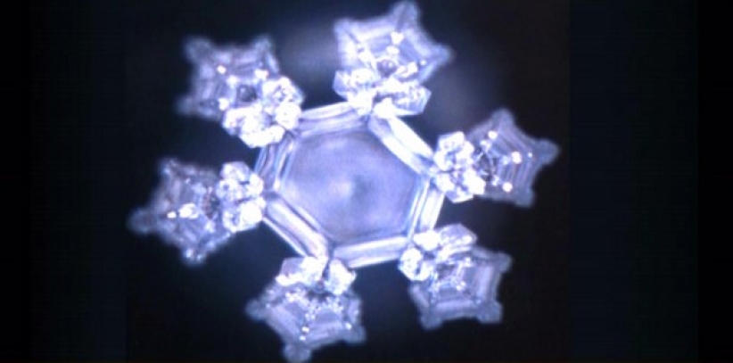 上帝创造有多伟大﹖摄影师亲证大自然无比奇妙