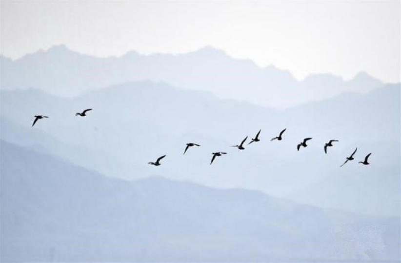 溫偉耀博士的信仰思考（上）科學與邏輯——論證神的存在