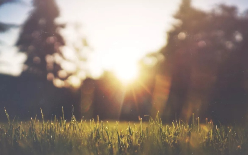 溫偉耀博士的信仰思考（下）五十年來每天與創造上帝同行