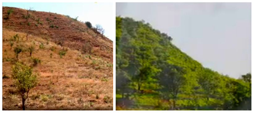 氣候變化研討會：香港世界宣明會倡導「重活農林、重建希望」