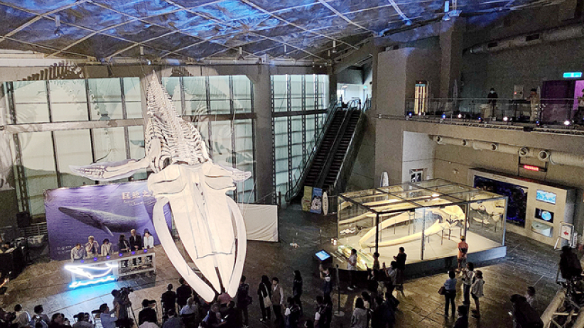 世界海洋日：大澳生態導賞 屏東海生館淨灘活動