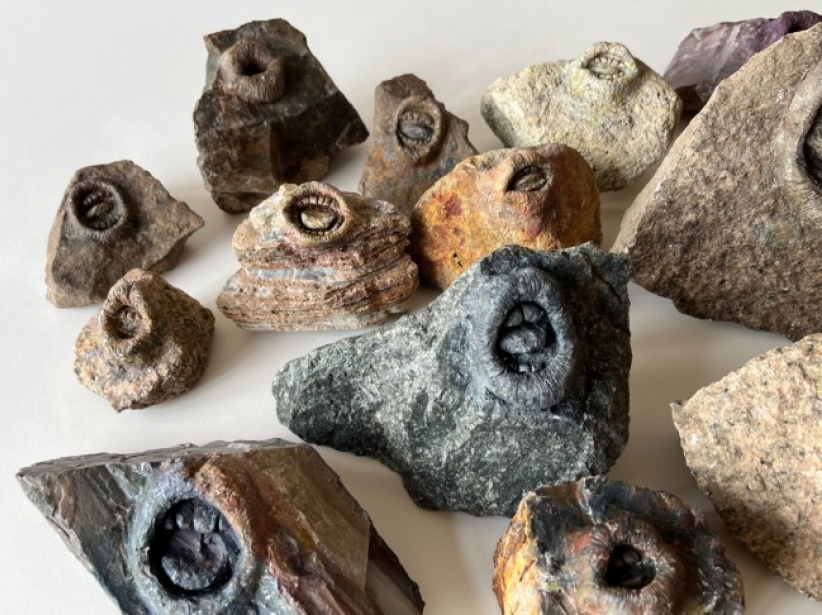 【當代藝粹】周文志：讚美