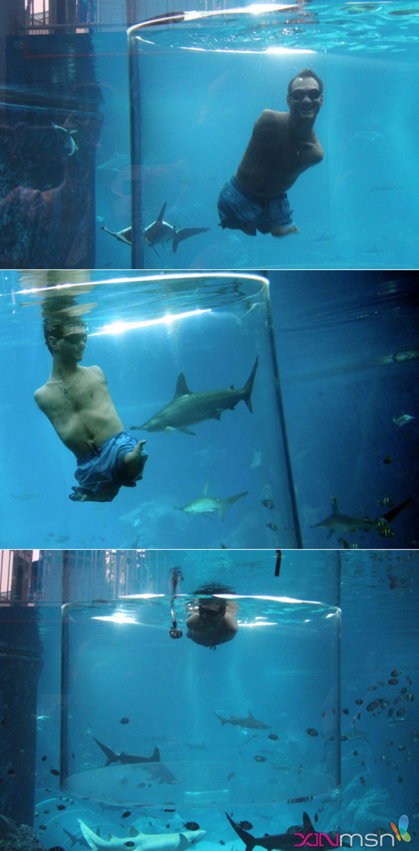 力克胡哲與鯊共舞 愛嘗試新事物