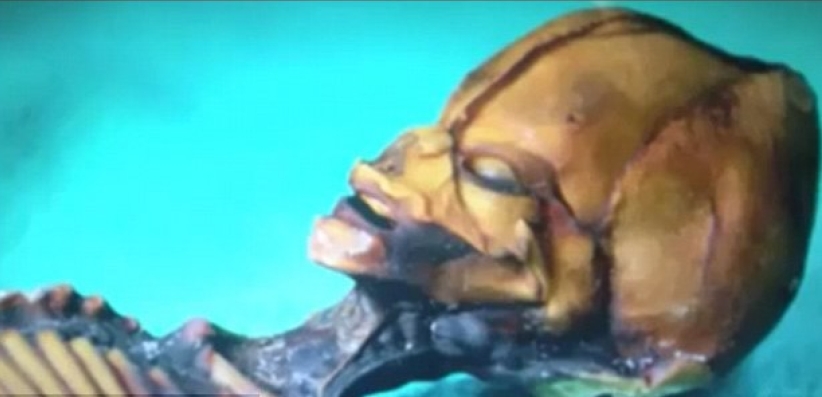 紀錄片《天狼星》為迷你「外星人」揭秘