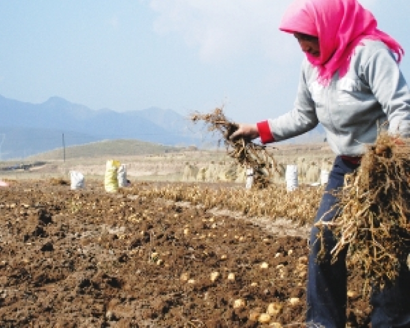 施達呼籲參與「紅封包行動」助貧民自力更生