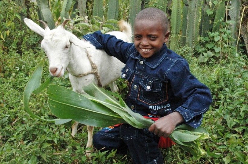 宣明會呼籲為貧困孩子送上愛的禮物