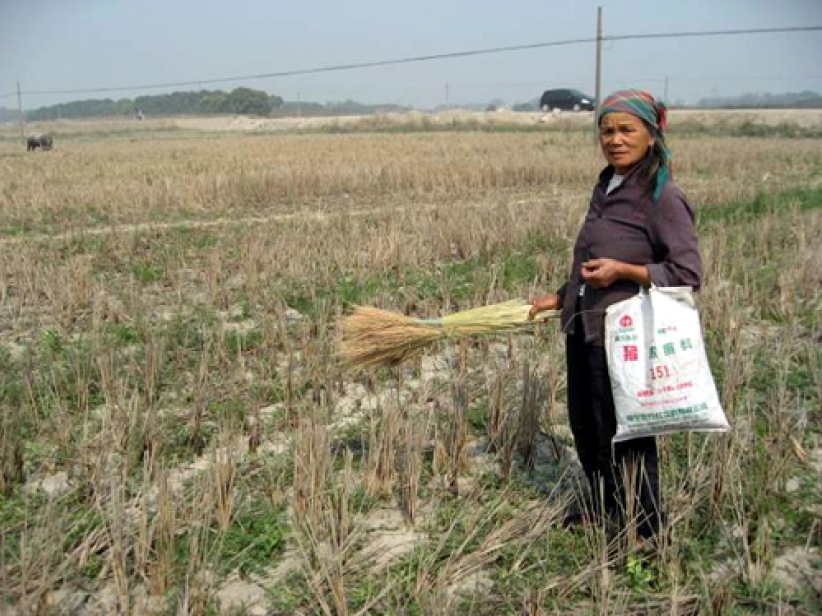 「愛德」獲港府140萬撥款 援助內地旱災災民