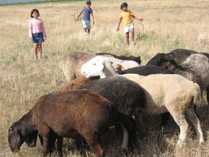 「吉國」V 姊妹：一個以生命影響生命的堅強母親
