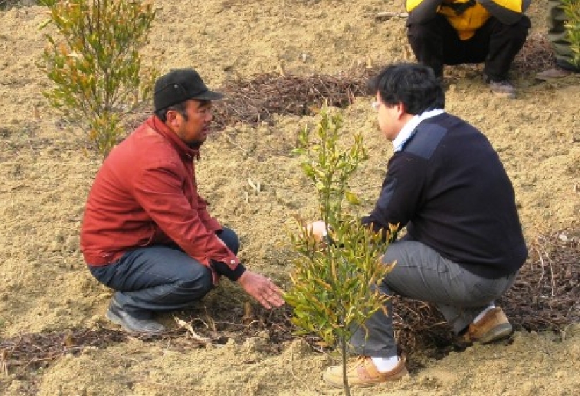 中國雪災災民劫後餘生仍待幫助