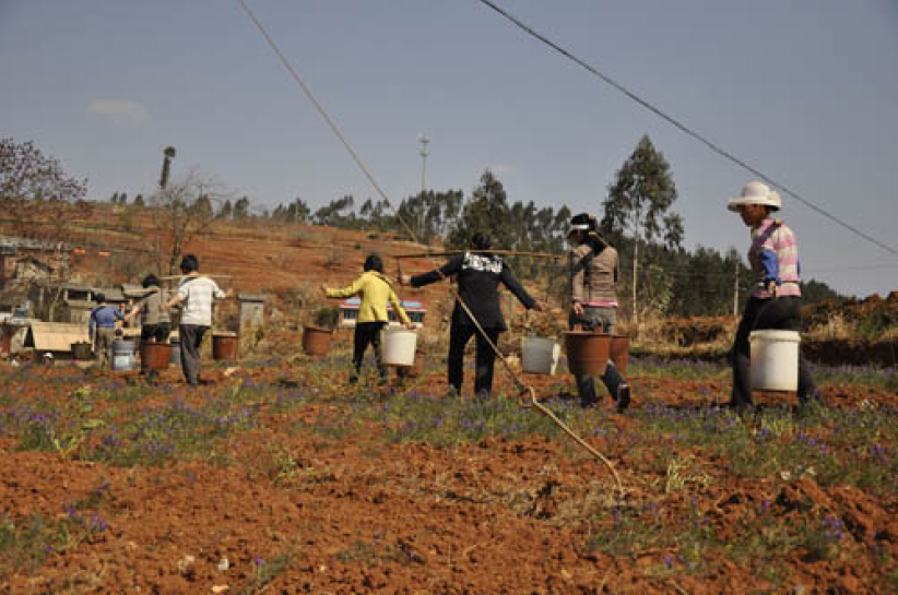 「愛德」獲港府140萬撥款 援助內地旱災災民