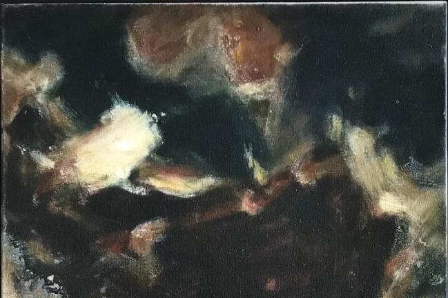 藝術家黄斌方舟