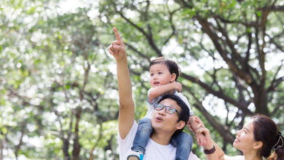國際家庭日