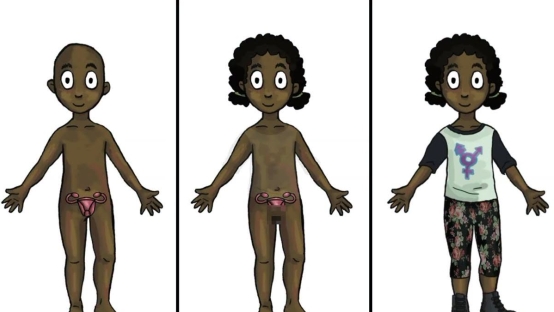 MyGender Dolls