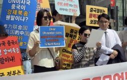 反對強制遣返脫北者