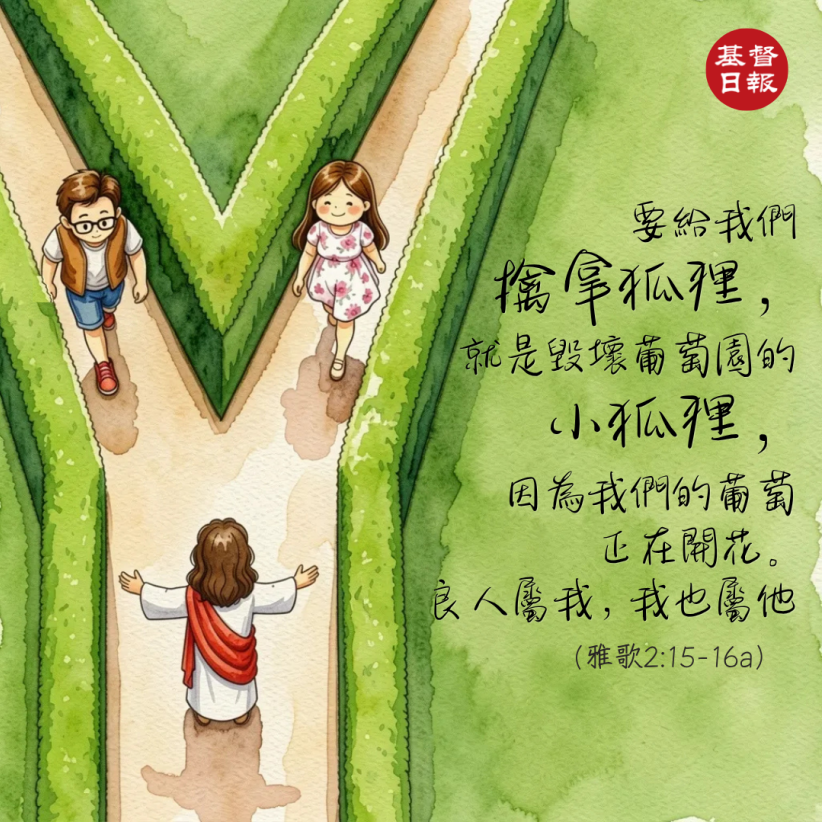 【守護家庭365】擒拿小狐狸