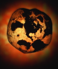 臺灣環境科學專家呼籲人類提高全球溫室效應的警惕