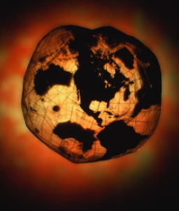 臺灣環境科學專家呼籲人類提高全球溫室效應的警惕