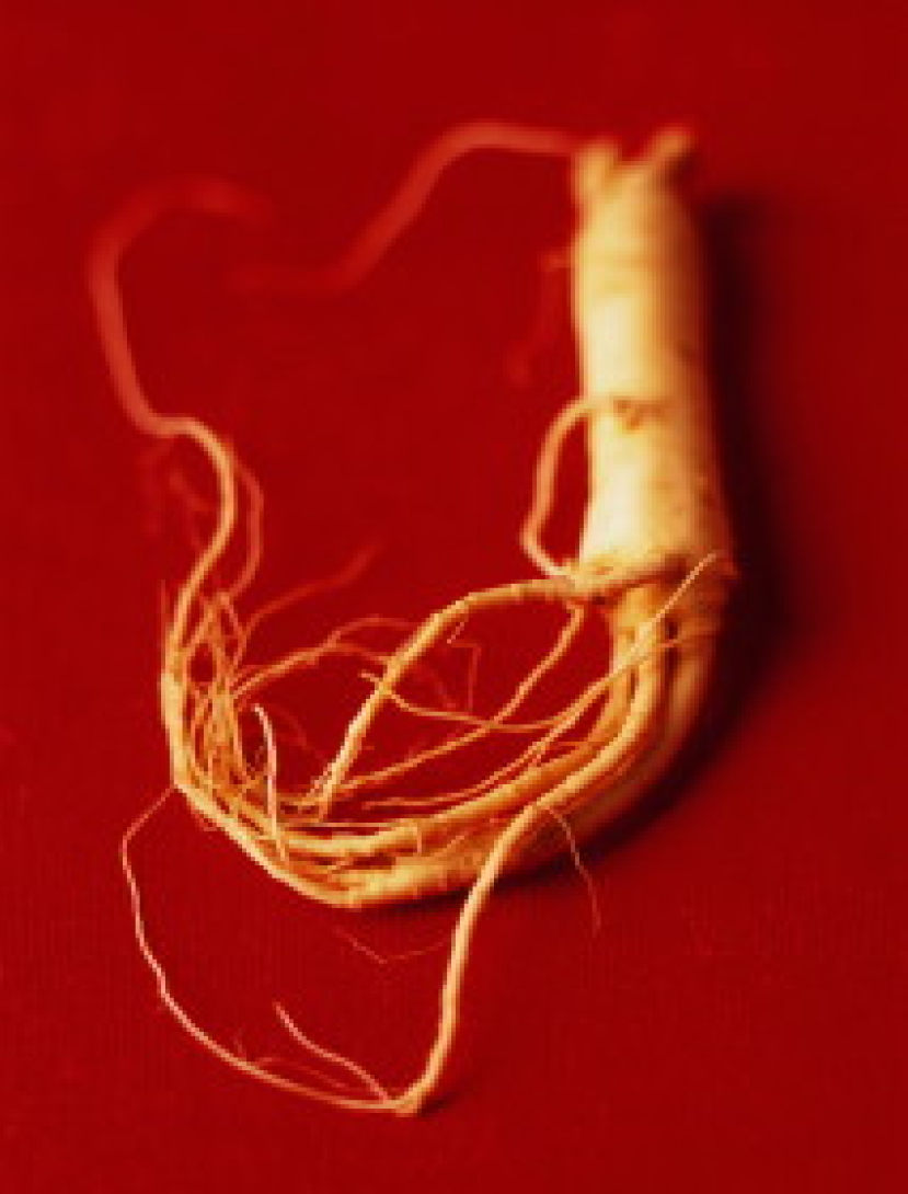 新的抗癌物質“IH－901”被研製出來 給遭受死亡威脅和痛苦的癌症患者帶來的福音