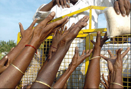 香港宣明會總幹事斯里蘭卡直擊