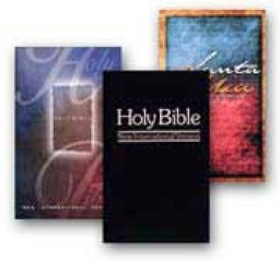 國際聖經協會網上提供41種語言聖經譯本