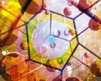 研究報告揭示美國Mega Church成長秘訣