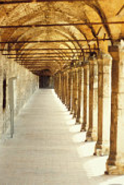 考古學家聲稱在耶路撒冷找到大衛王宮殿遺址